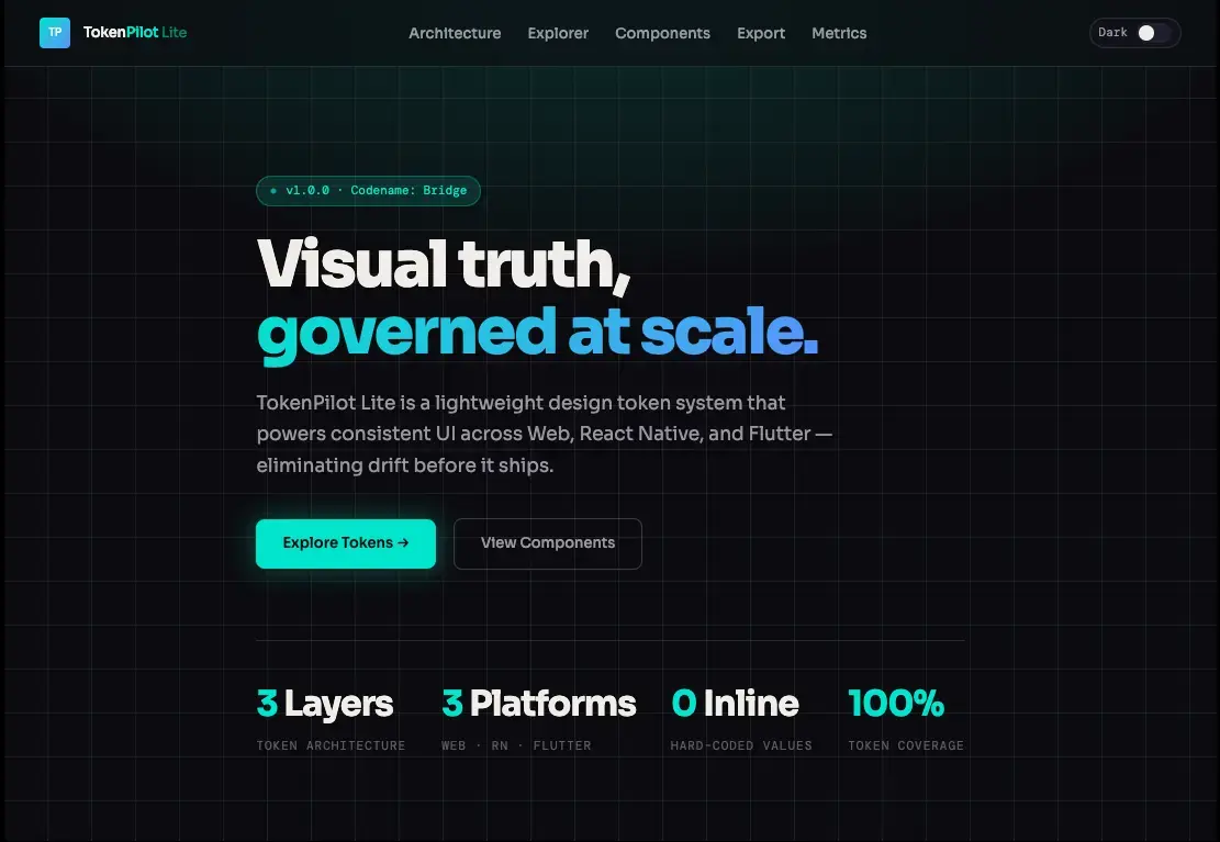 TokenPilot Lite dashboard concept